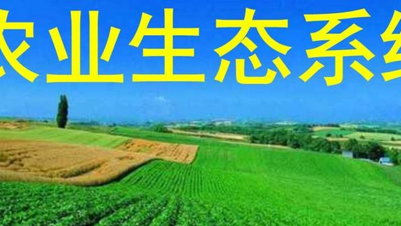 绿色食品续展需要什么材料