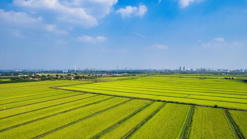 休闲农业研学基地审批流程全解析