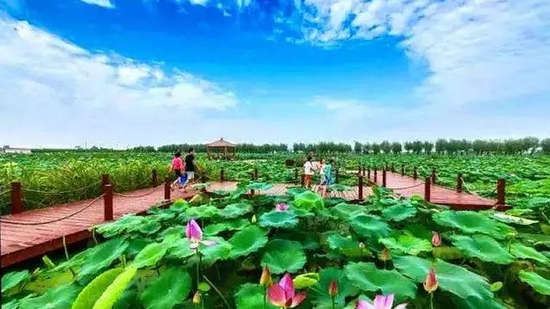 采摘节活动策划：从筹备到成功的全流程解析
