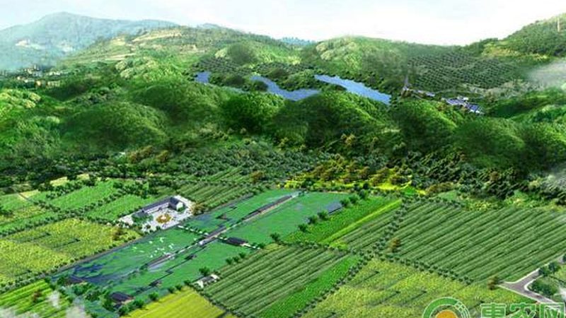 山东农资批发市场的优劣势分析