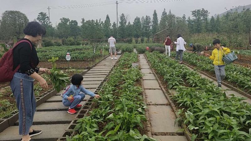 生鲜配送APP开发哪家好
