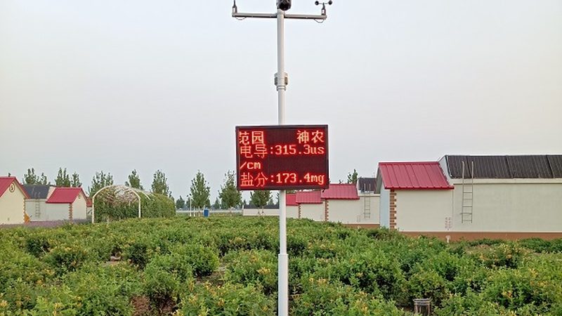 农产品批发电商平台怎么选