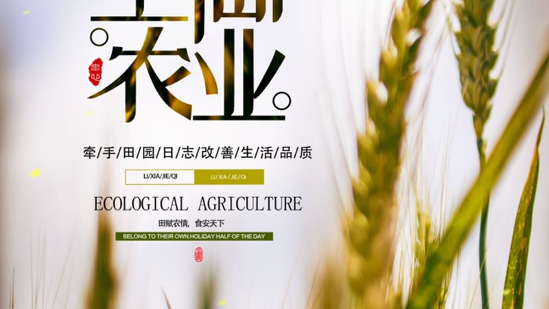 露天果园病害防治，如何提升防效？**